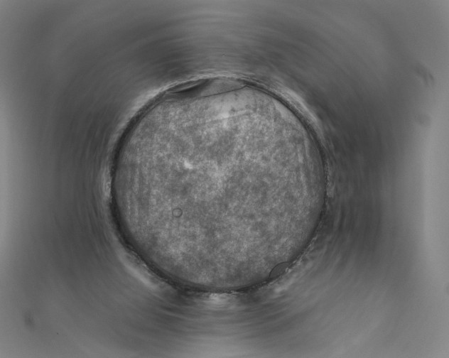 X0000112010060200908311142