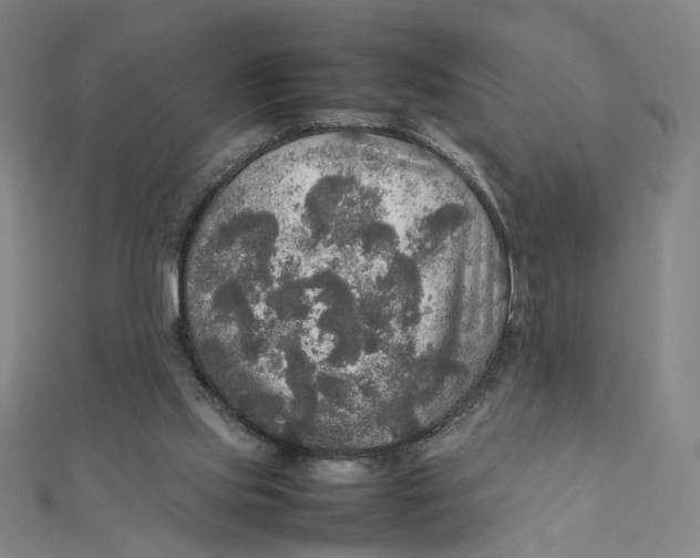 X0000112010061200908311142