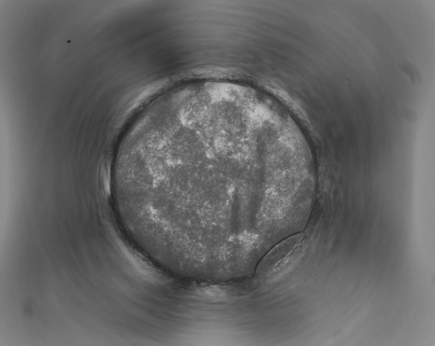 X0000112010062200908311142