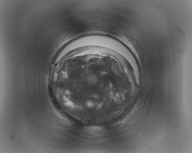 X0000112010063200908311142