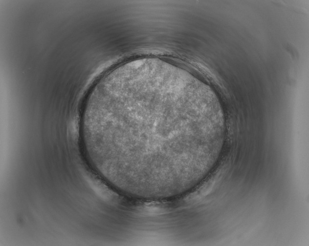 X0000112010064200908311142