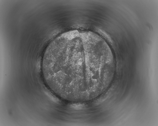 X0000112010065200908311142