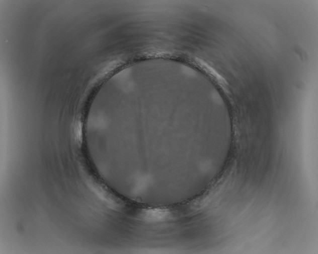 X0000112010067200908311143