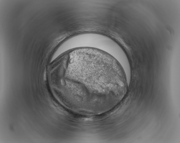 X0000112010068200908311143