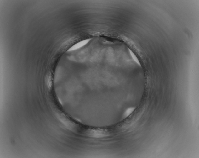 X0000112010069200908311143