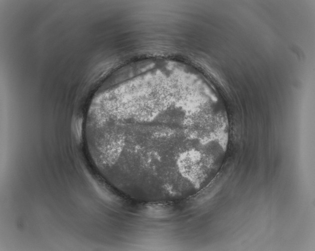 X0000112010070200908311143