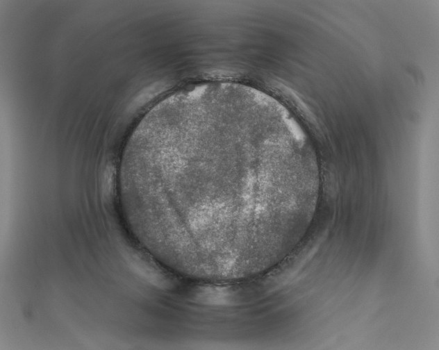 X0000112010071200908311143