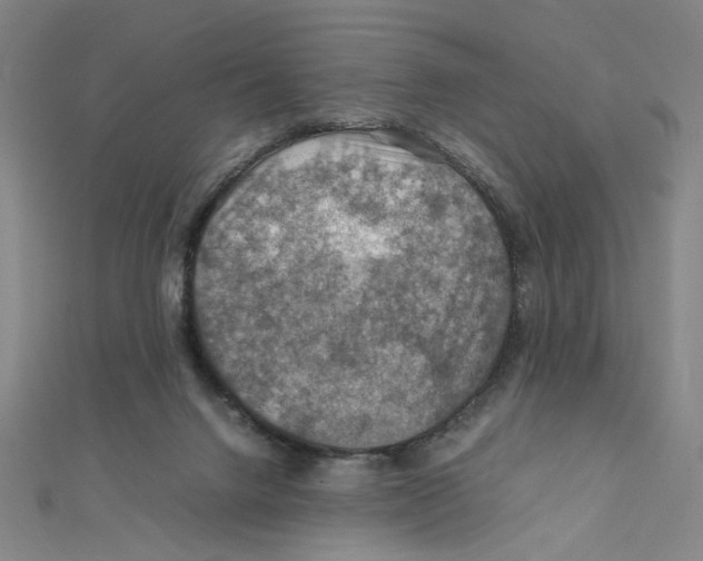 X0000112010072200908311143