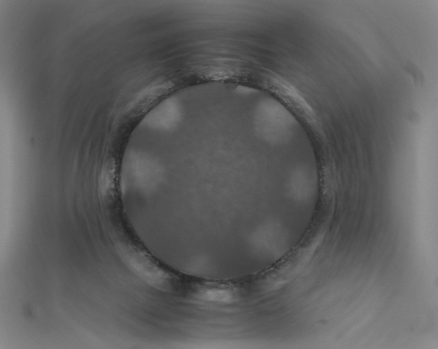 X0000112010073200908311143