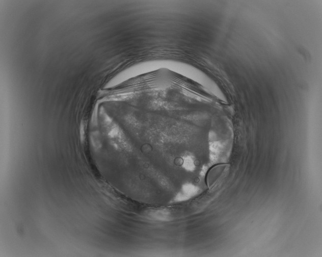 X0000112010075200908311143