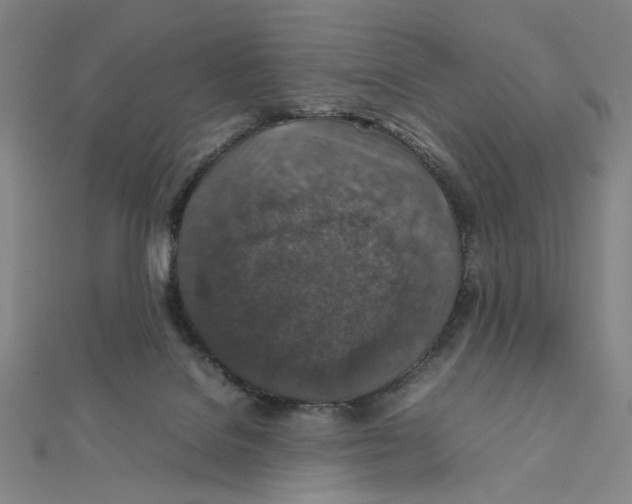 X0000112010076200908311143