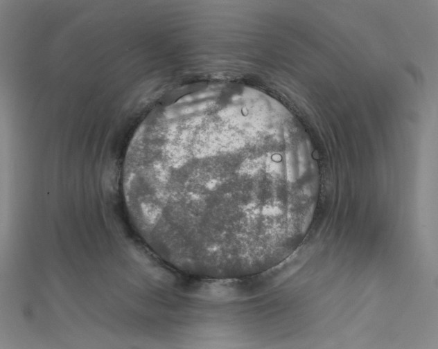 X0000112010078200908311143