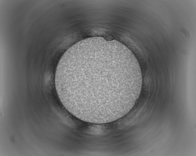 X0000112010079200908311143
