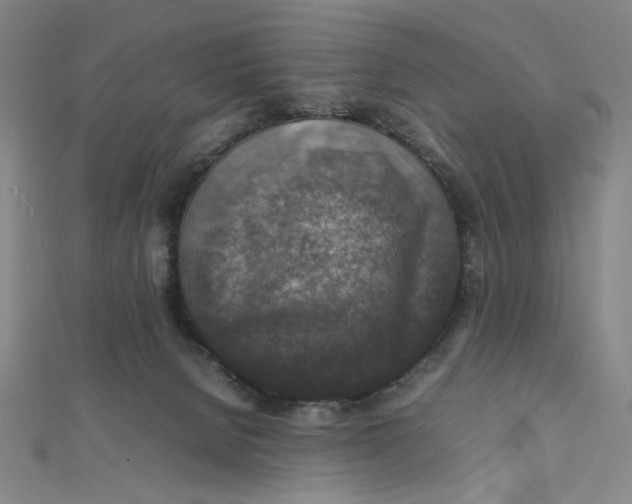 X0000112010080200908311143