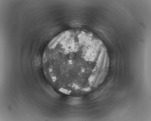 X0000112010081200908311143