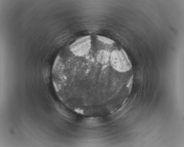 X0000112010082200908311143