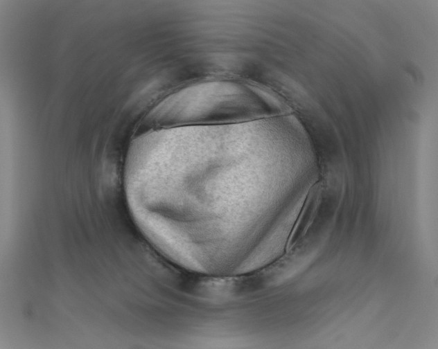 X0000112010084200908311143