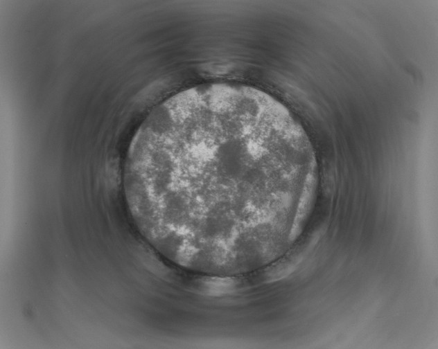 X0000112010085200908311143