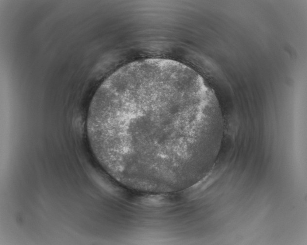X0000112010086200908311143