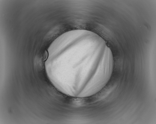 X0000112010088200908311143