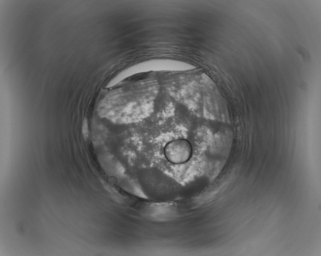 X0000112010089200908311143