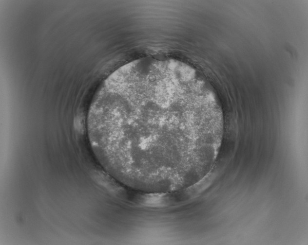 X0000112010090200908311143