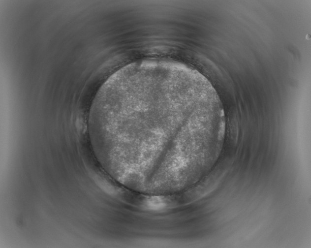X0000112010091200908311143