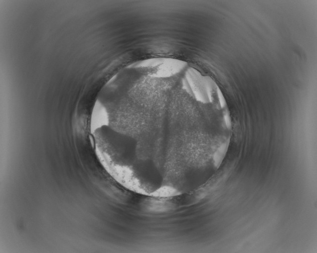 X0000112010093200908311143