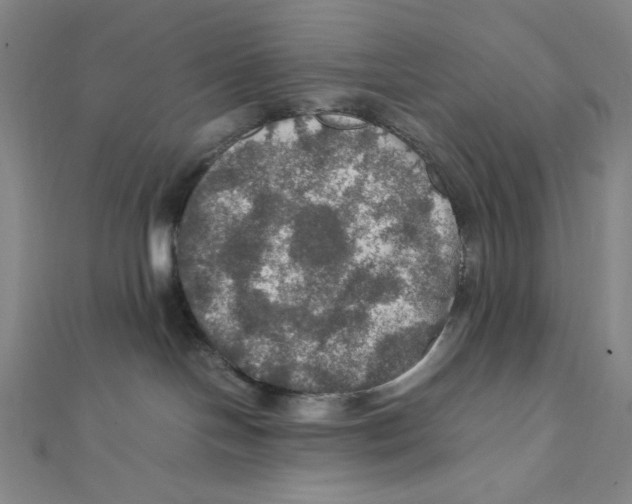 X0000112010094200908311143