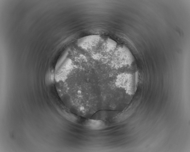 X0000112010095200908311143