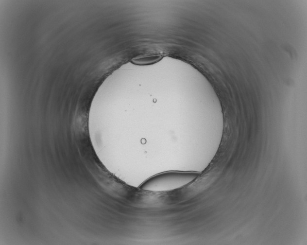 X0000112010096200908311143