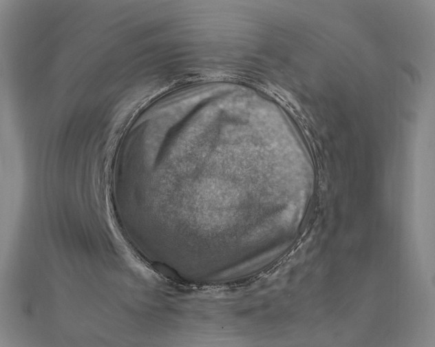 X0000112010097200908311142