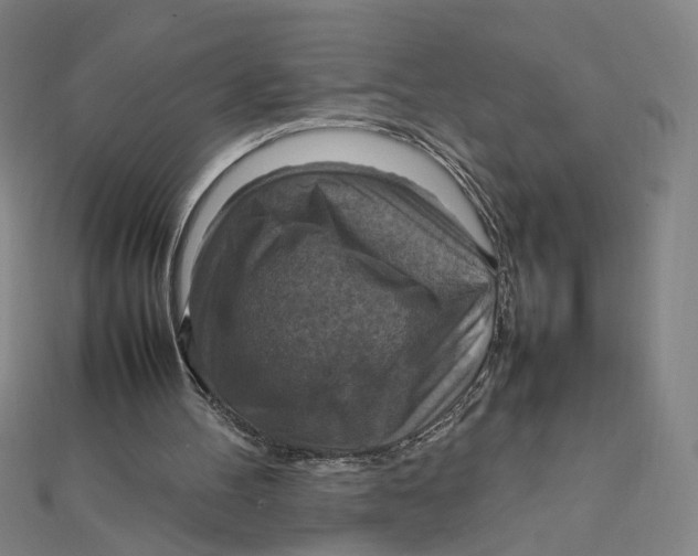 X0000112010100200908311142