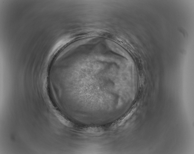 X0000112010101200908311142