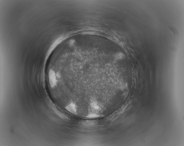 X0000112010102200908311142