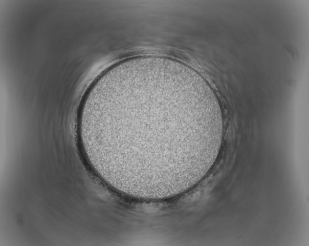 X0000112010103200908311142