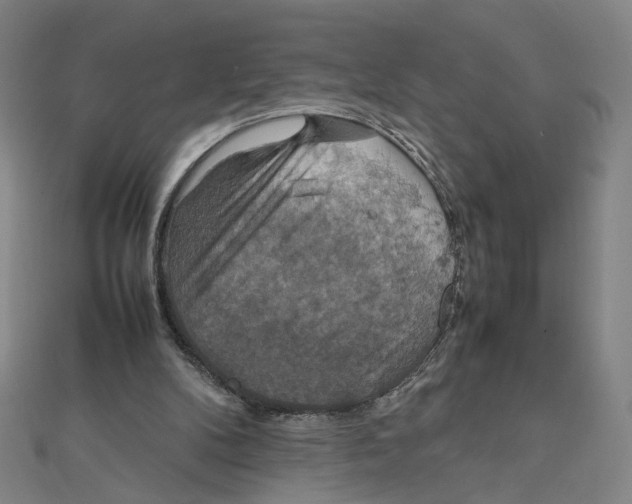 X0000112010104200908311142