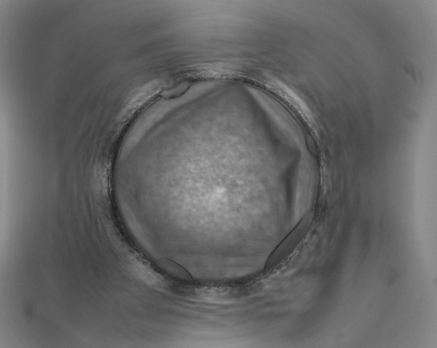 X0000112010105200908311142