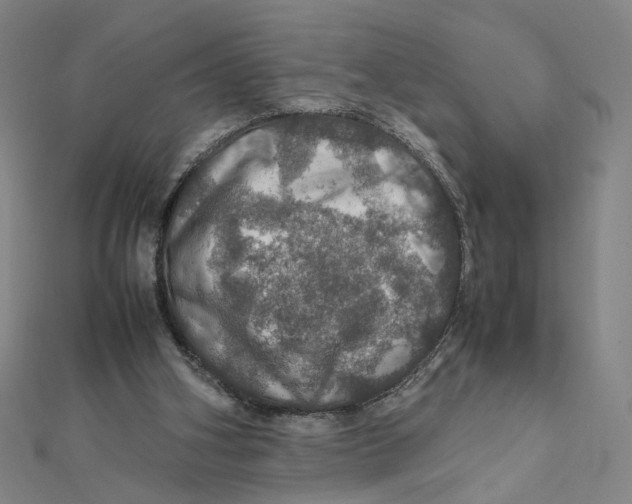X0000112010106200908311142