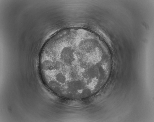 X0000112010107200908311142