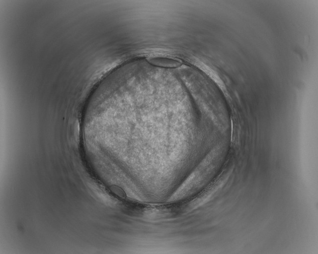 X0000112010109200908311142