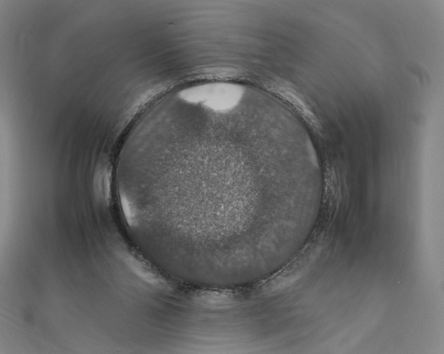 X0000112010110200908311142