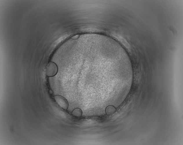 X0000112010111200908311142