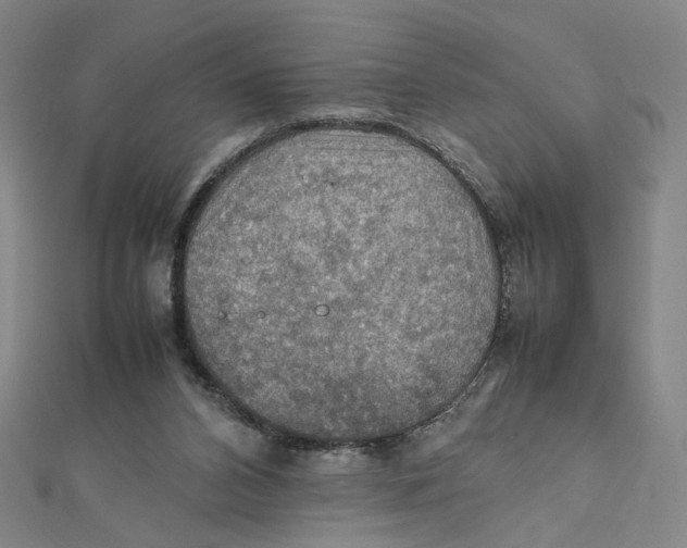 X0000112010112200908311142