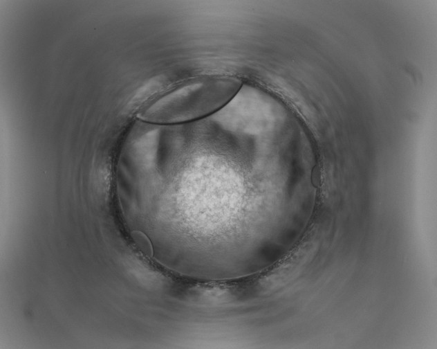 X0000112010113200908311142