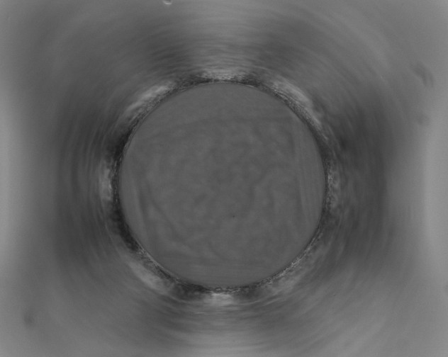 X0000112010114200908311142