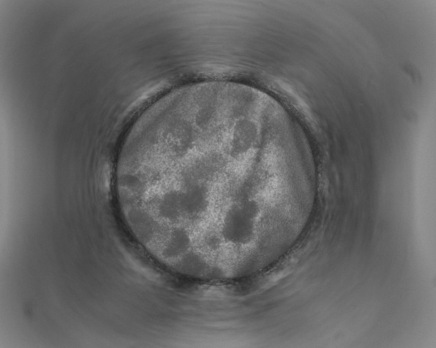 X0000112010115200908311142