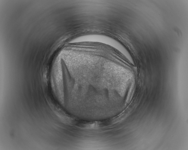 X0000112010116200908311142