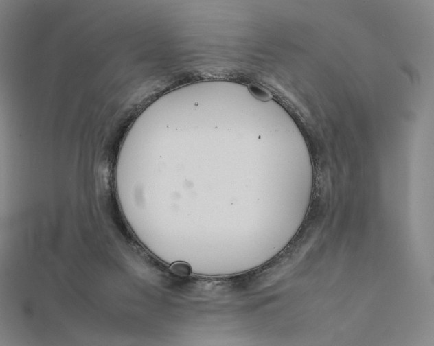 X0000112010117200908311142