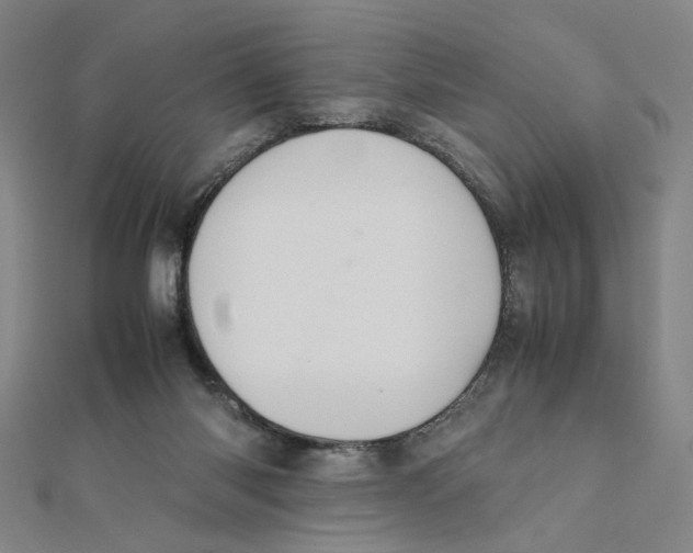X0000112010118200908311142